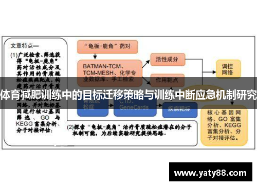 体育减肥训练中的目标迁移策略与训练中断应急机制研究