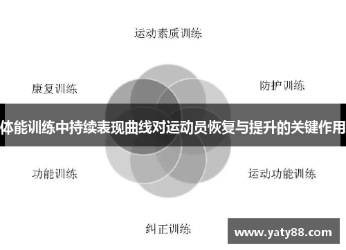 体能训练中持续表现曲线对运动员恢复与提升的关键作用